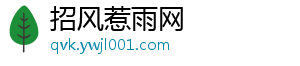 招风惹雨网